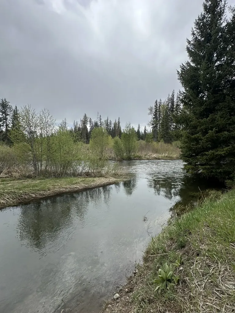 308 Charles Road Condon MT 59826