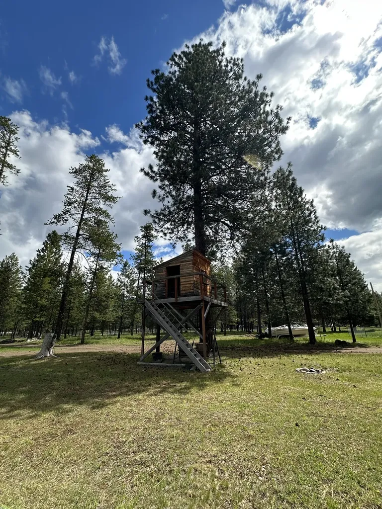 308 Charles Road Condon MT 59826