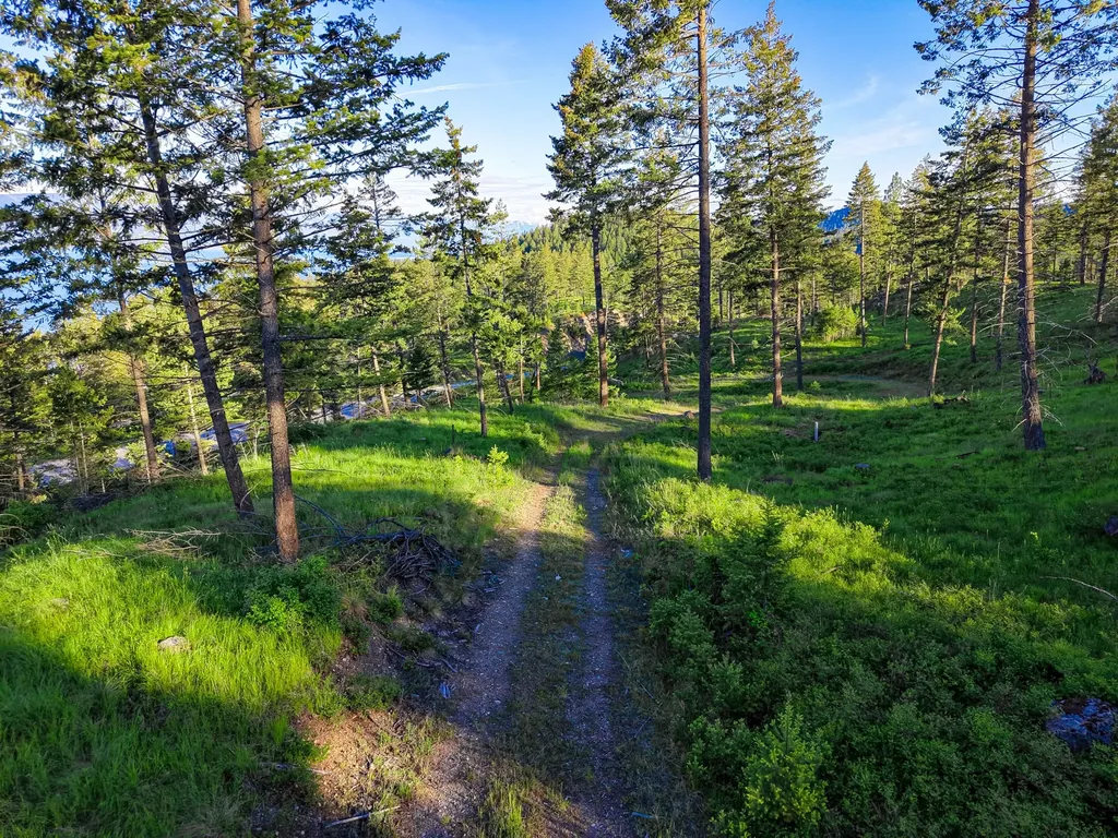 Nhn Waynona Way Lakeside MT 59922