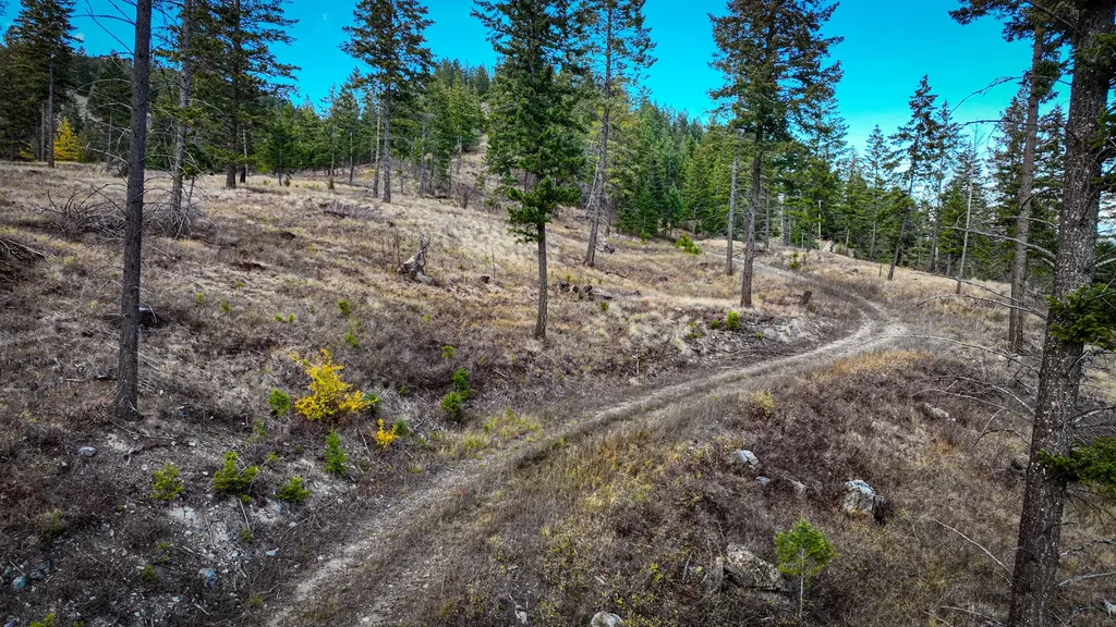 Nhn Waynona Way Lakeside MT 59922