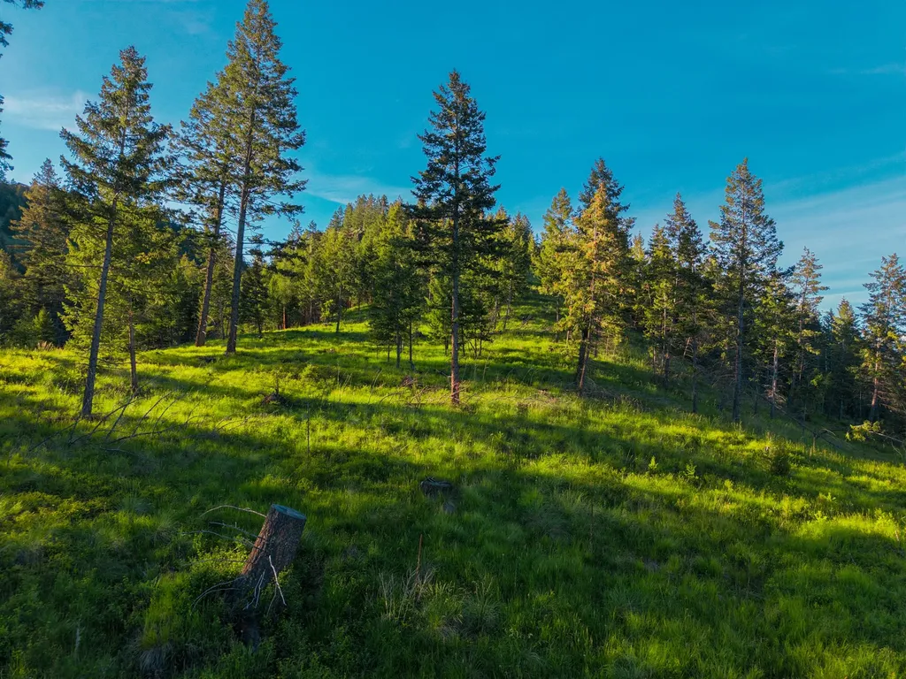 Nhn Lake Forest Drive Lakeside MT 59922