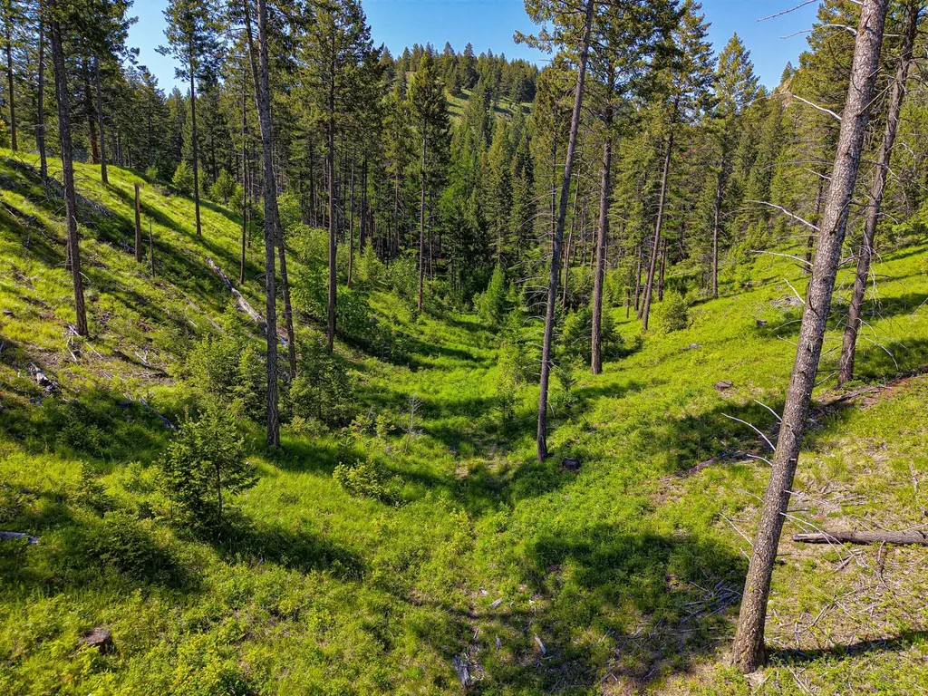Nhn Lake Forest Drive Lakeside MT 59922