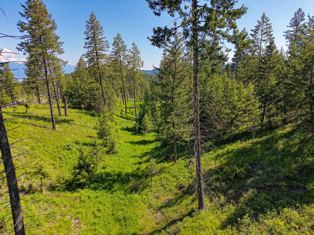 Nhn Waynona Way Lakeside MT 59922