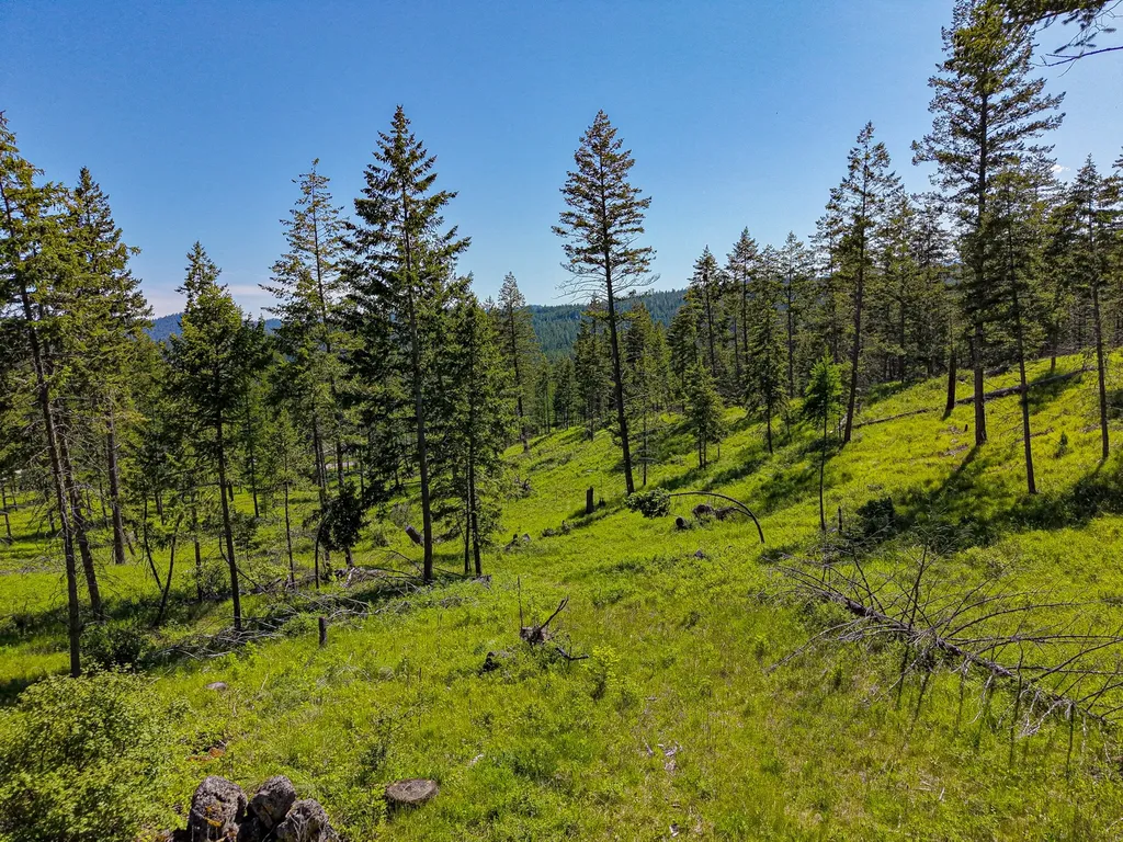 Nhn Waynona Way Lakeside MT 59922