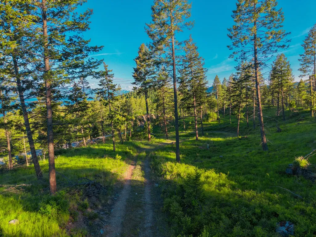 Nhn Waynona Way Lakeside MT 59922