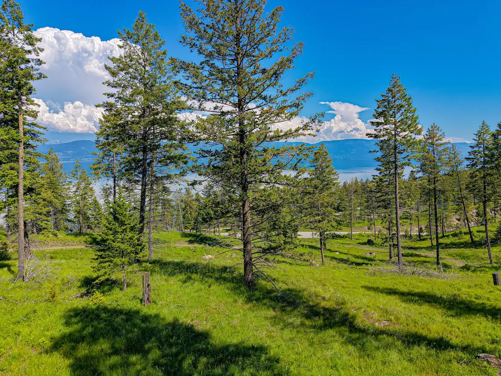 Nhn Lake Forest Drive Lakeside MT 59922