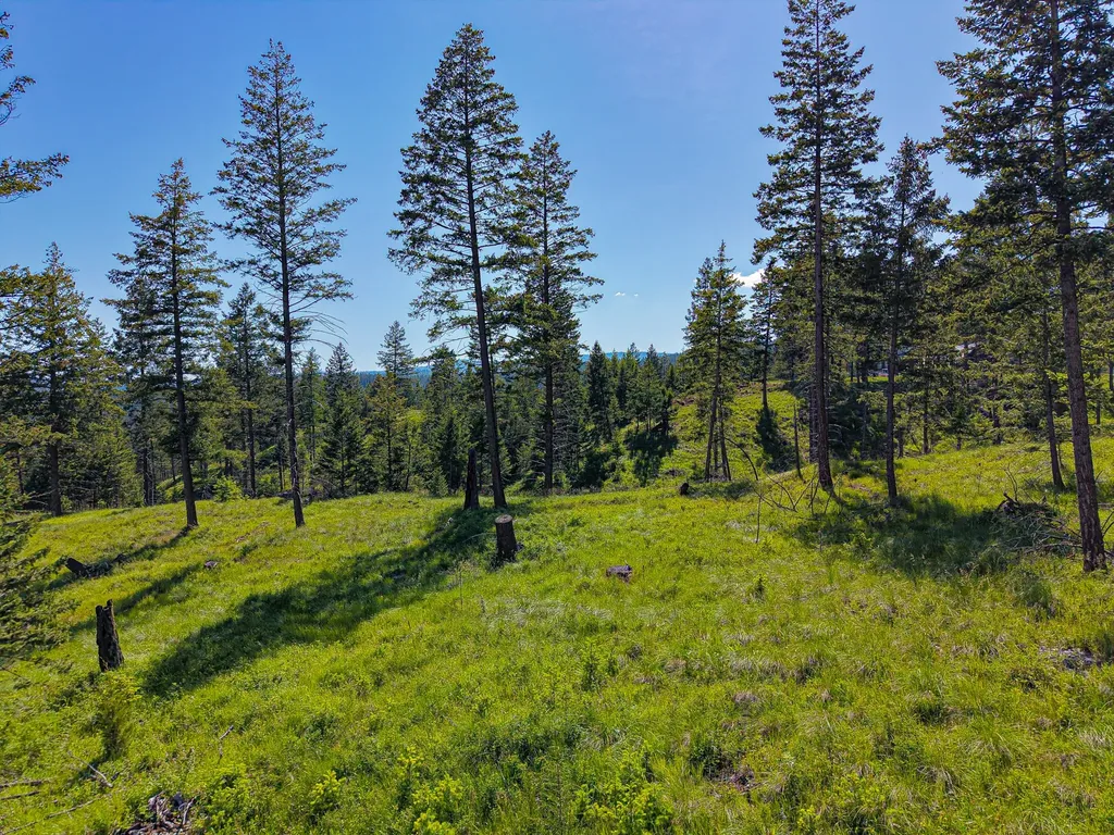 Nhn Waynona Way Lakeside MT 59922