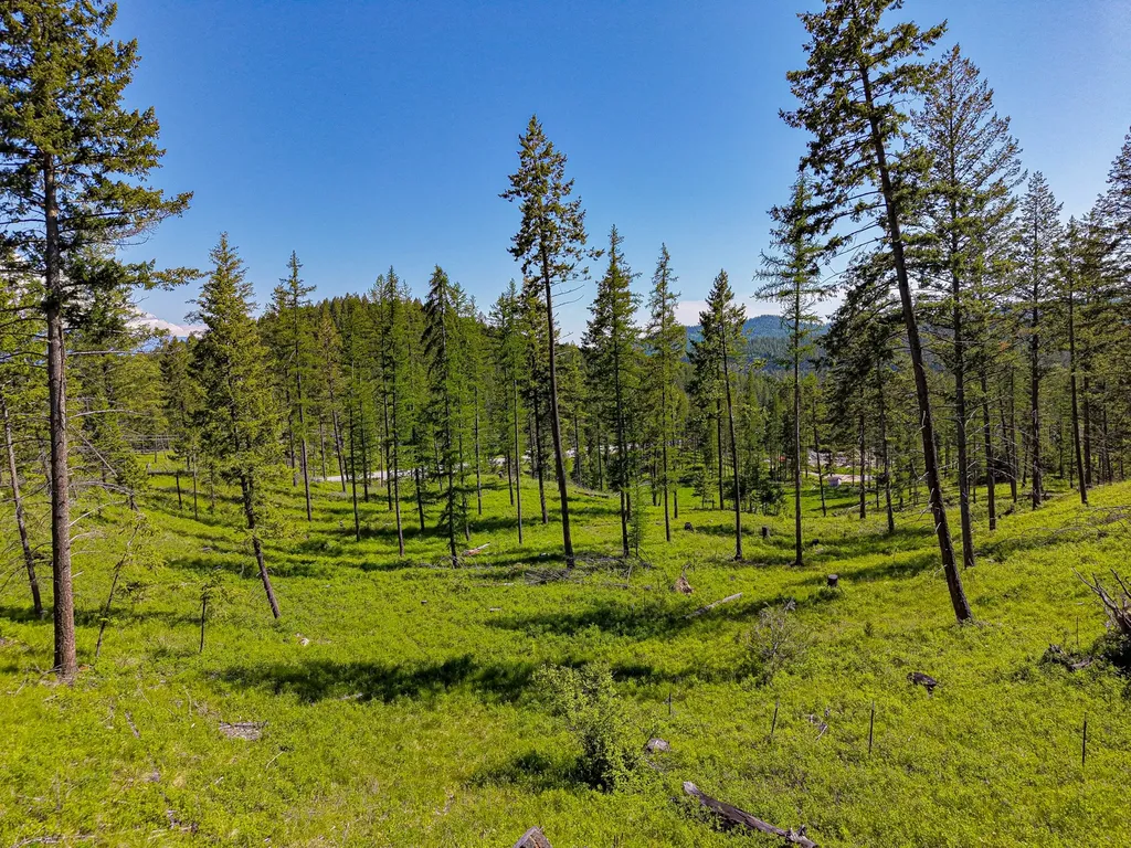 Nhn Lake Forest Drive Lakeside MT 59922