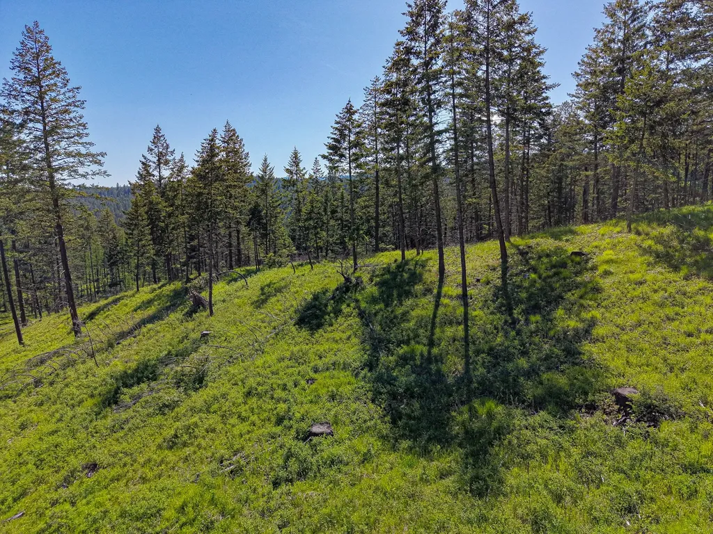 Nhn Waynona Way Lakeside MT 59922