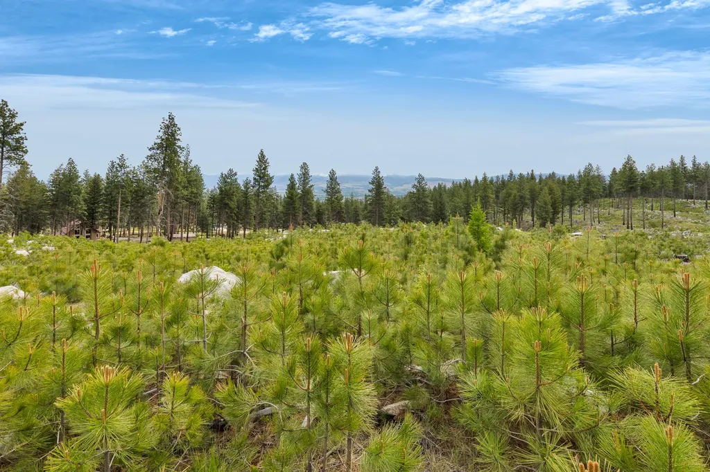 Nhn Lot 8 Roaring Lion Road Hamilton MT 59840