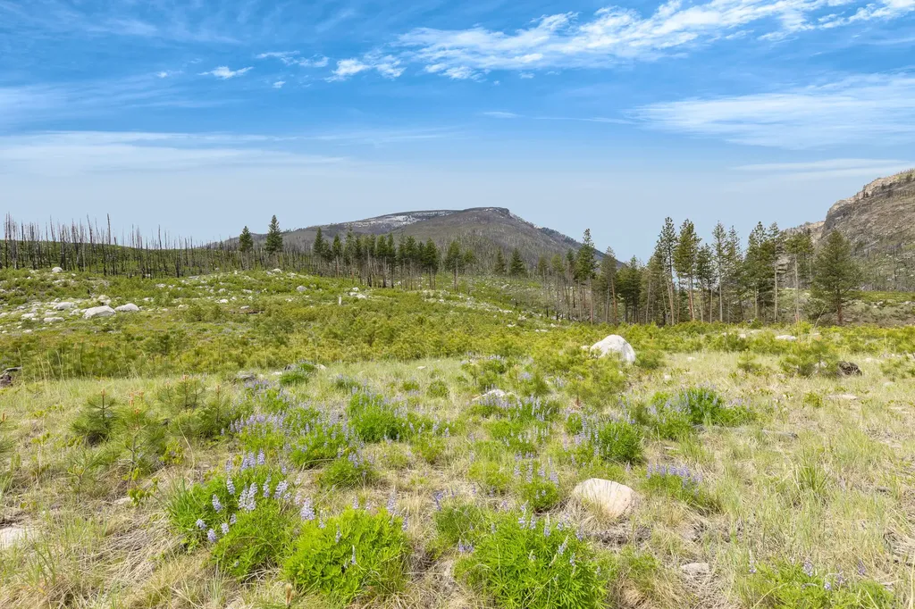 Nhn Lot 8 Roaring Lion Road Hamilton MT 59840
