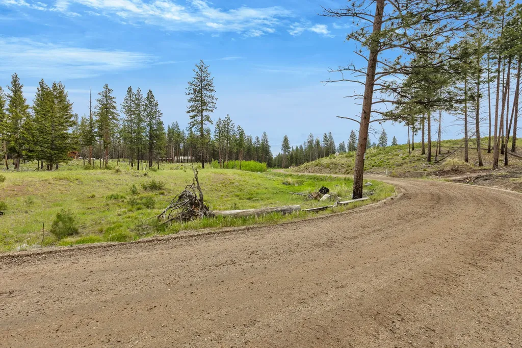 Nhn Lot 8 Roaring Lion Road Hamilton MT 59840