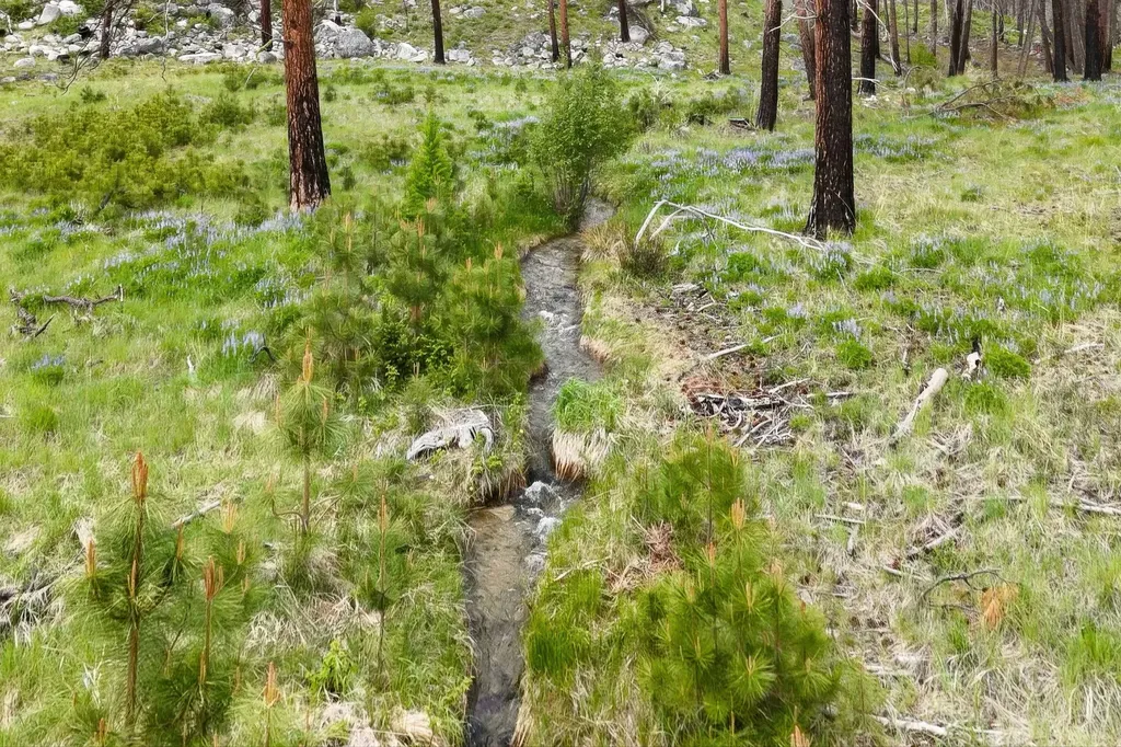 Nhn Lot 8 Roaring Lion Road Hamilton MT 59840