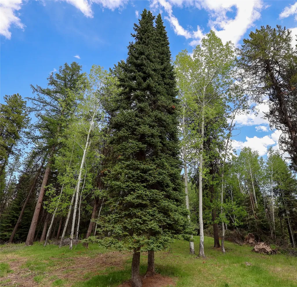 601 Log Yard Road Condon MT 59826