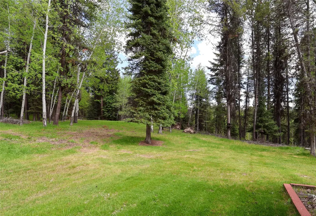 601 Log Yard Road Condon MT 59826