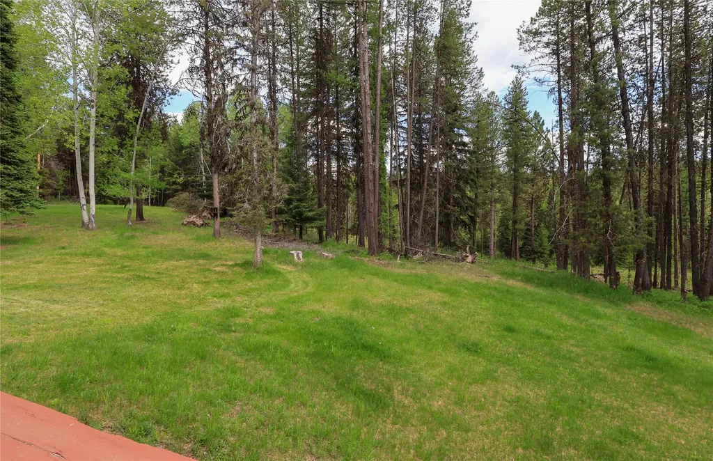 601 Log Yard Road Condon MT 59826