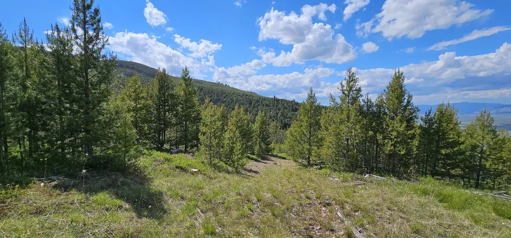 8 Tract Hall Creek Helmville MT 59843