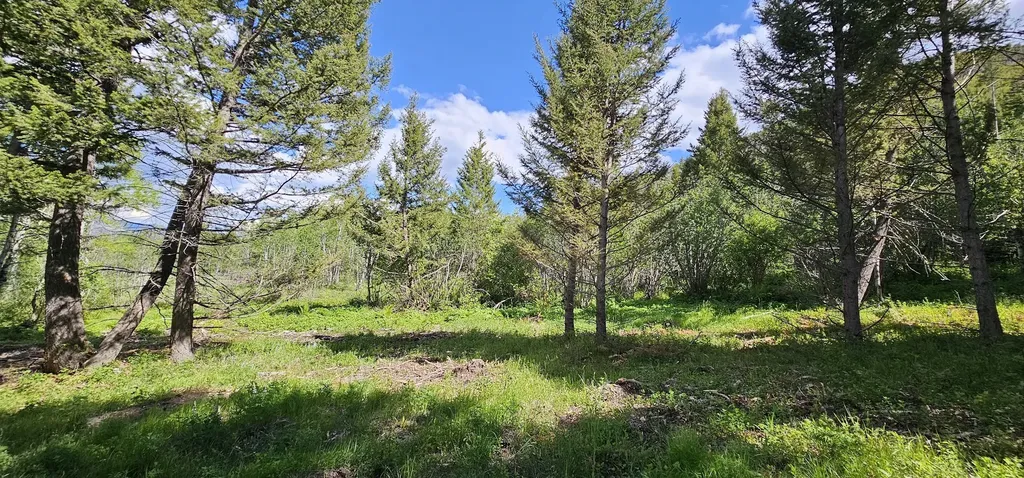 8 Tract Hall Creek Helmville MT 59843