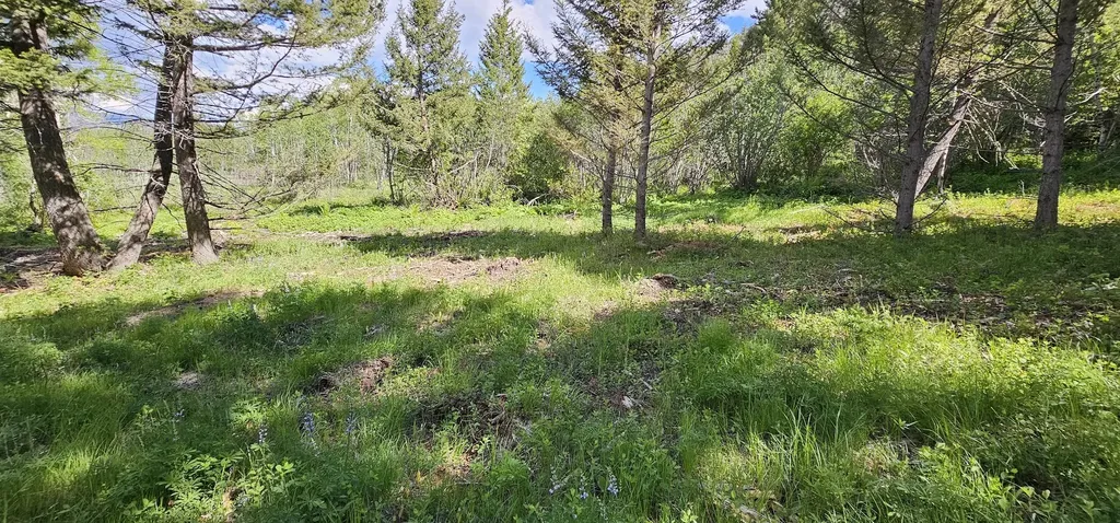 8 Tract Hall Creek Helmville MT 59843