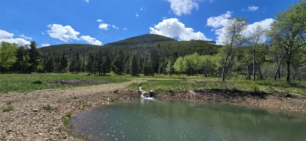 8 Tract Hall Creek Helmville MT 59843