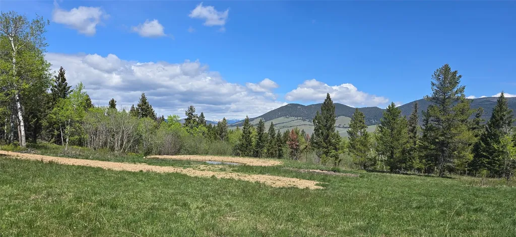 8 Tract Hall Creek Helmville MT 59843