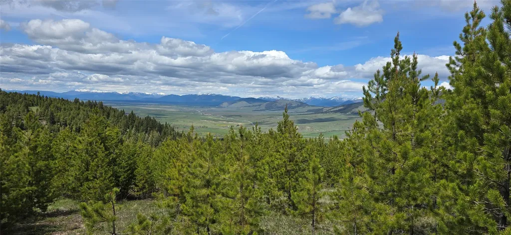8 Tract Hall Creek Helmville MT 59843