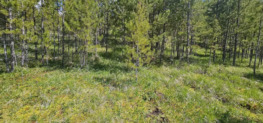 8 Tract Hall Creek Helmville MT 59843