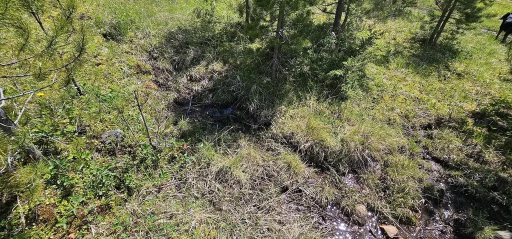 8 Tract Hall Creek Helmville MT 59843