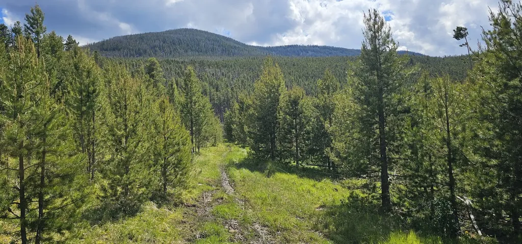 8 Tract Hall Creek Helmville MT 59843
