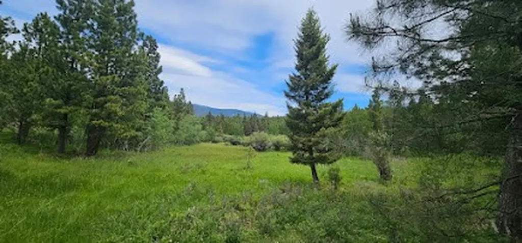 Tract 10 Hall Creek Helmville MT 59843