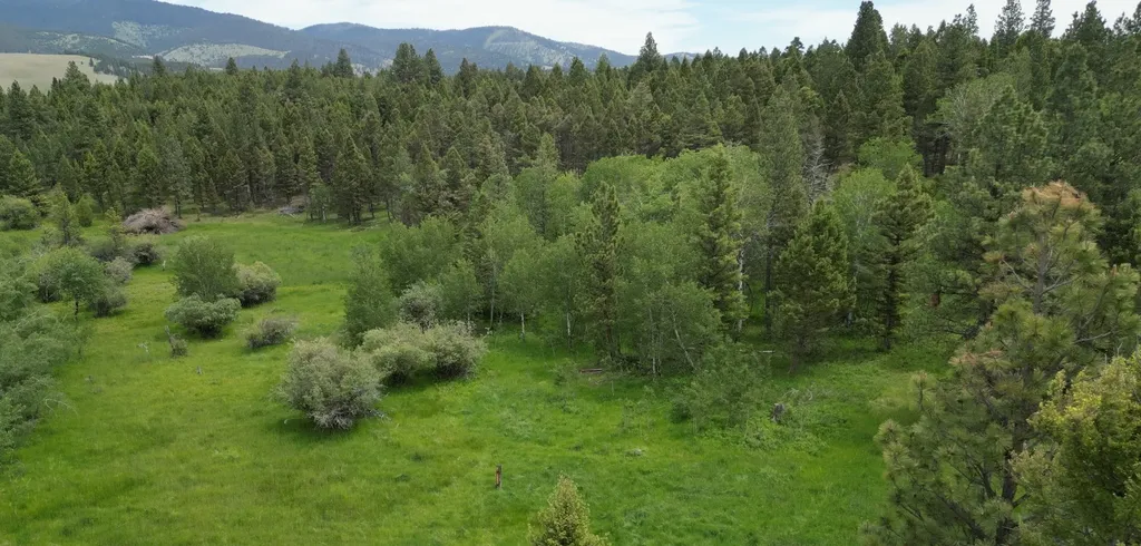 Tract 10 Hall Creek Helmville MT 59843