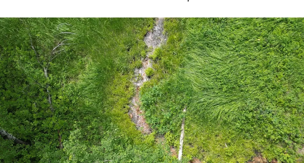 Tract 10 Hall Creek Helmville MT 59843