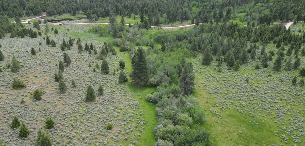 Tract 10 Hall Creek Helmville MT 59843