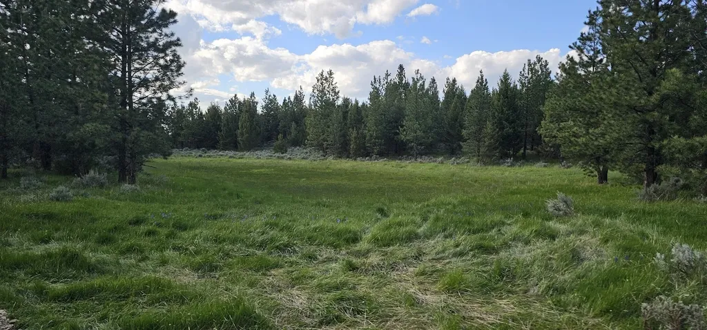 Tract 10 Hall Creek Helmville MT 59843