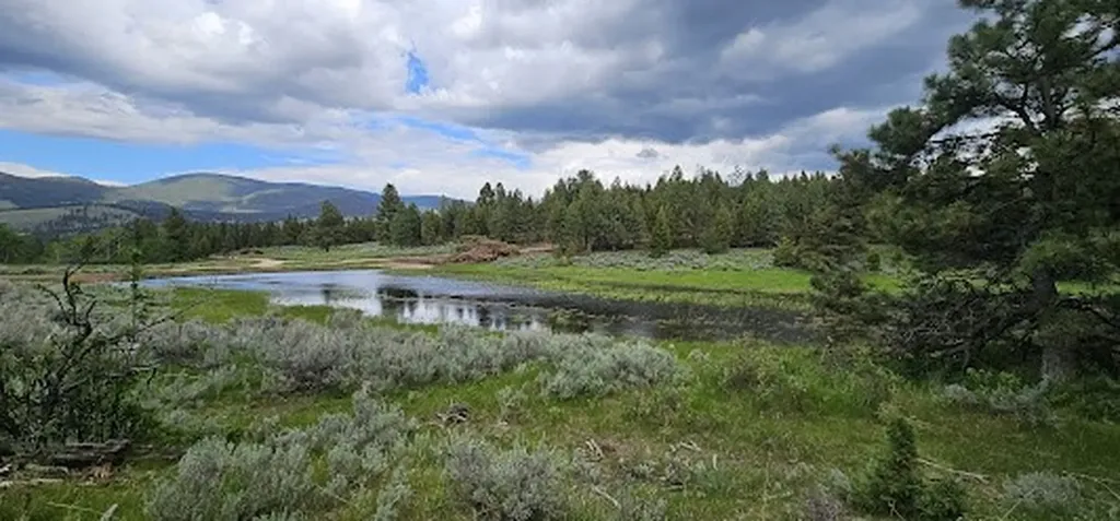 Tract 10 Hall Creek Helmville MT 59843