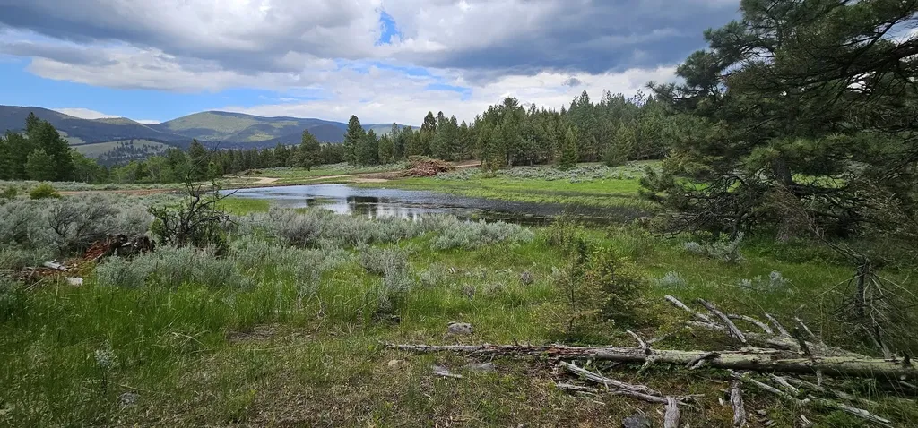 Tract 10 Hall Creek Helmville MT 59843