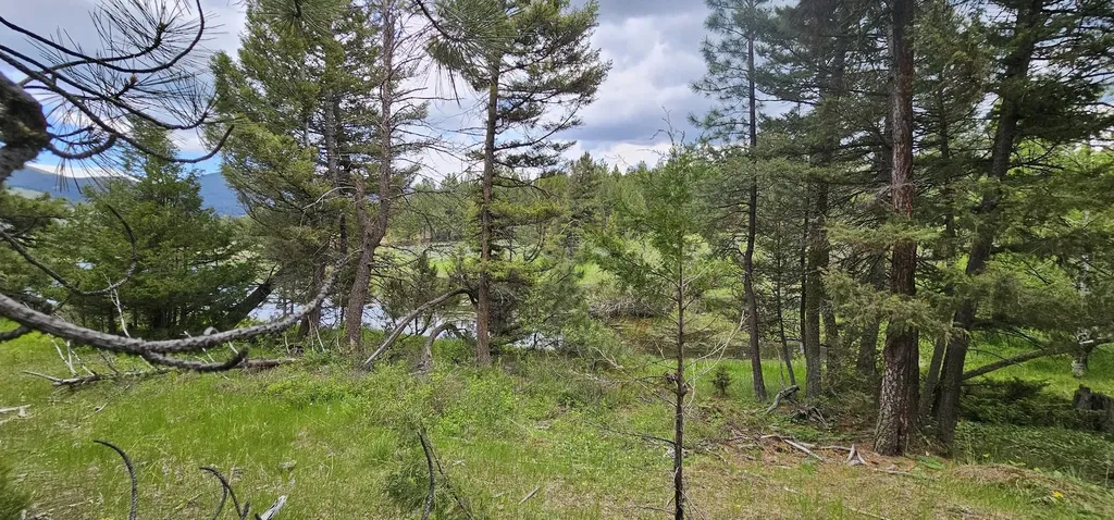 Tract 10 Hall Creek Helmville MT 59843