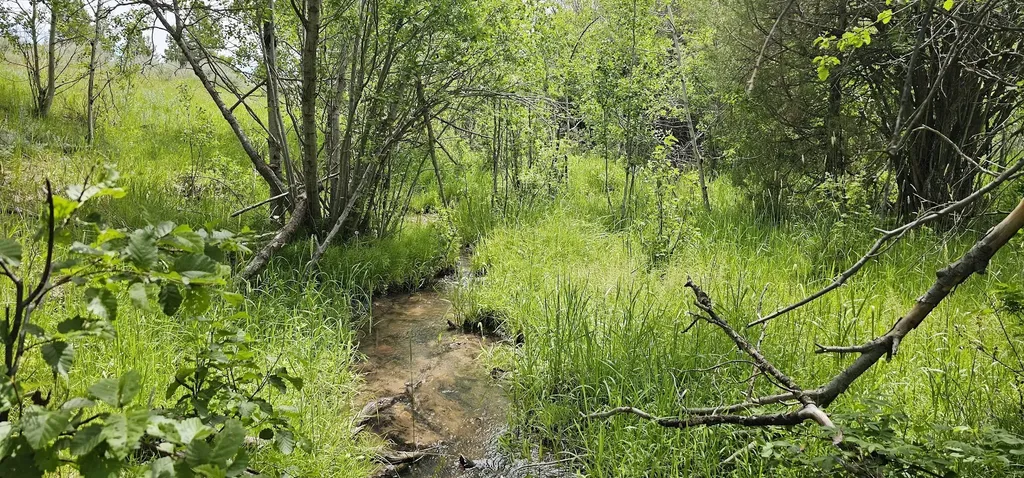 Tract 10 Hall Creek Helmville MT 59843