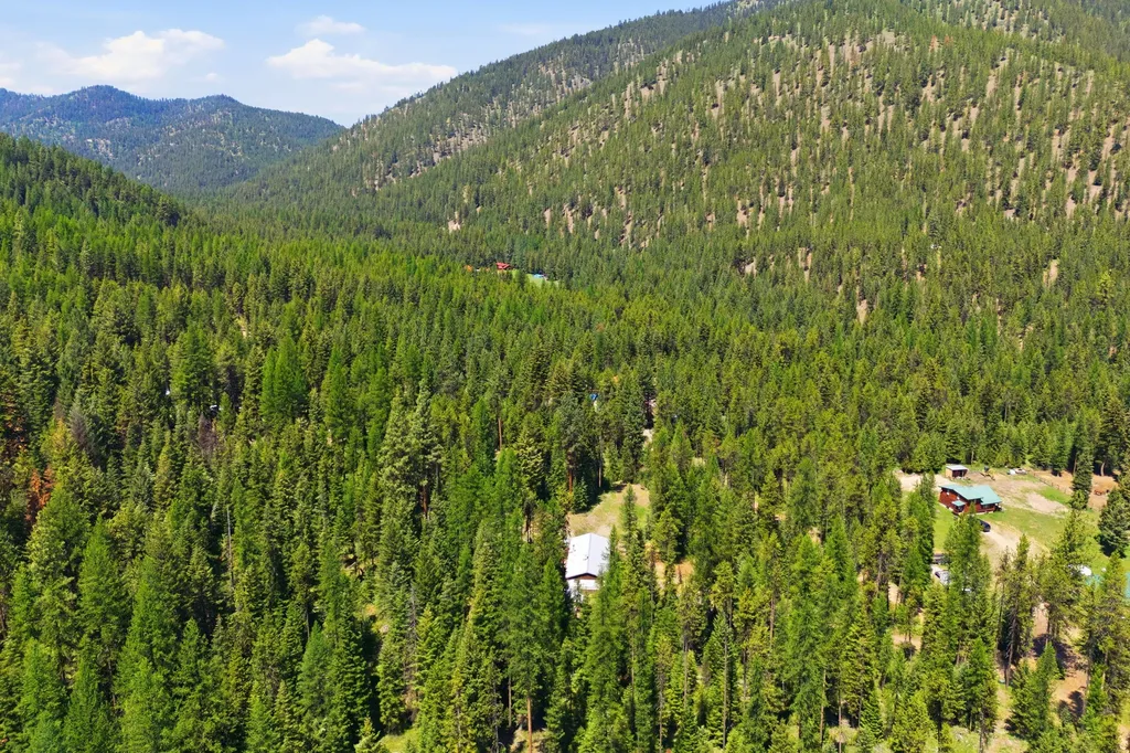 7089 Micah Springs Lane Alberton MT 59820