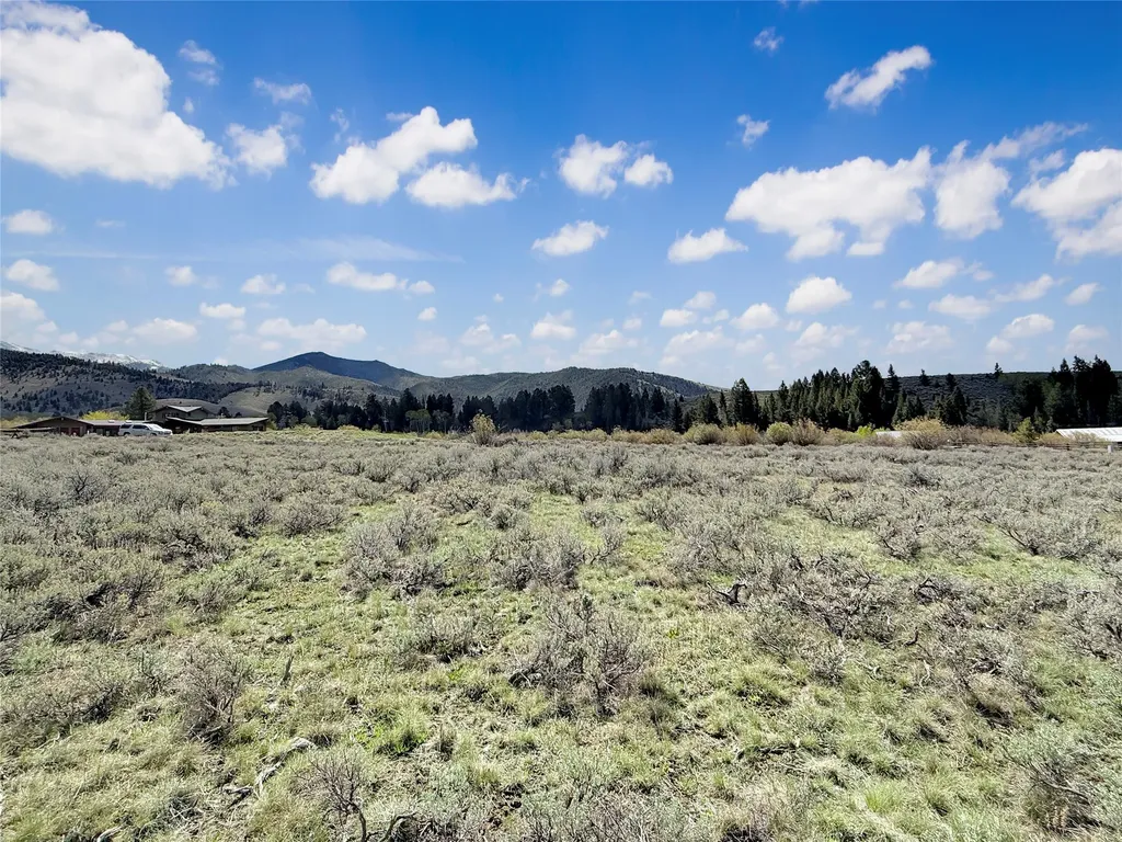 Lot 10 Clark Creek Road Polaris MT 59746