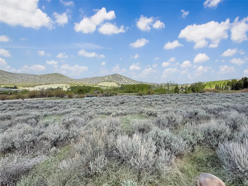 Lot 10 Clark Creek Road Polaris MT 59746