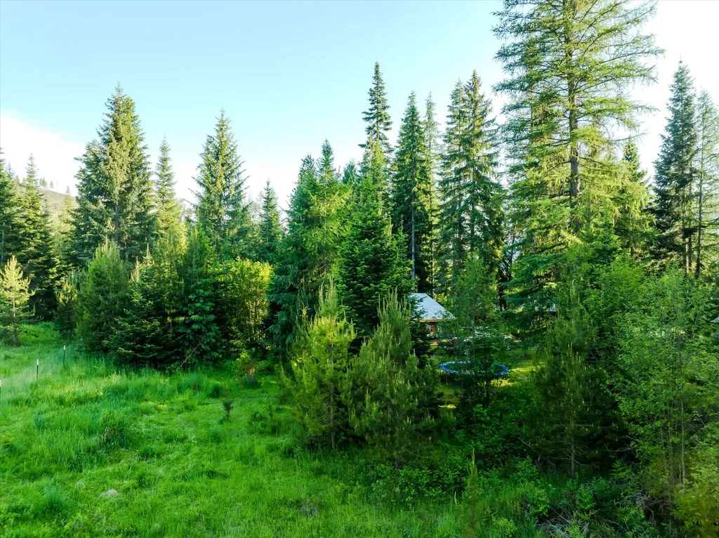 151 Twin Creek Drive Troy MT 59935