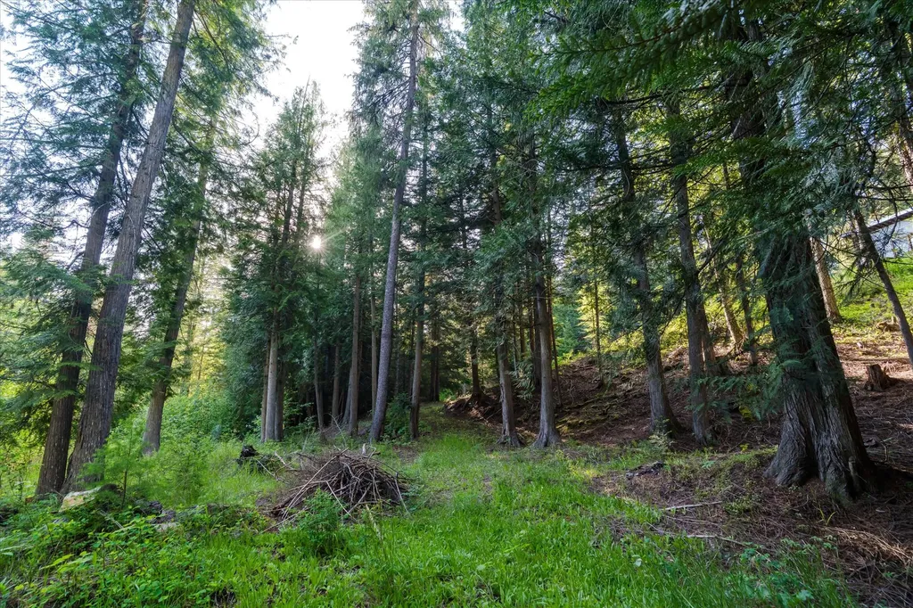 151 Twin Creek Drive Troy MT 59935
