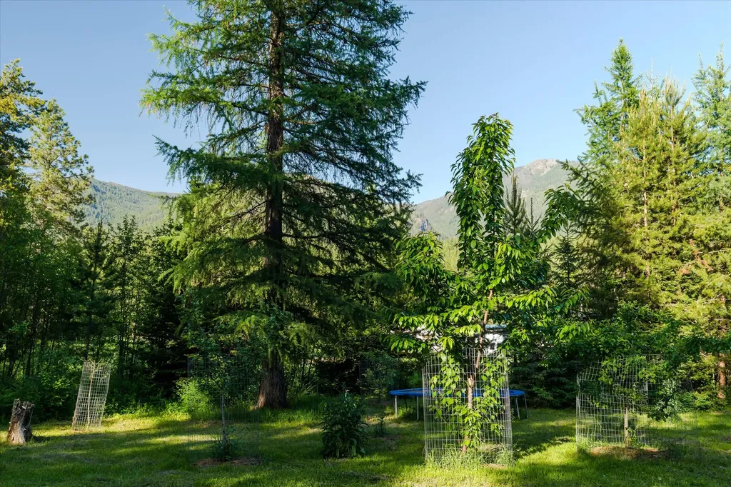 151 Twin Creek Drive Troy MT 59935