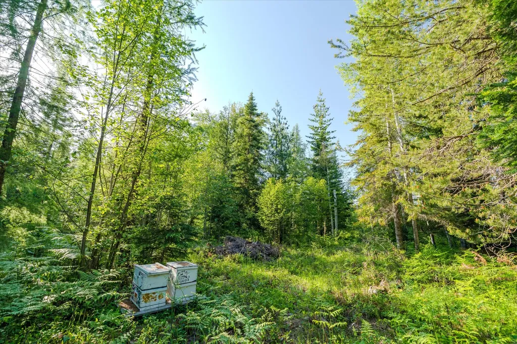 151 Twin Creek Drive Troy MT 59935