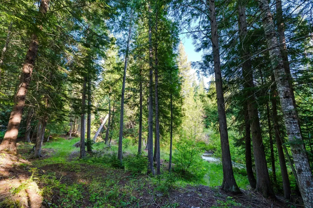 151 Twin Creek Drive Troy MT 59935