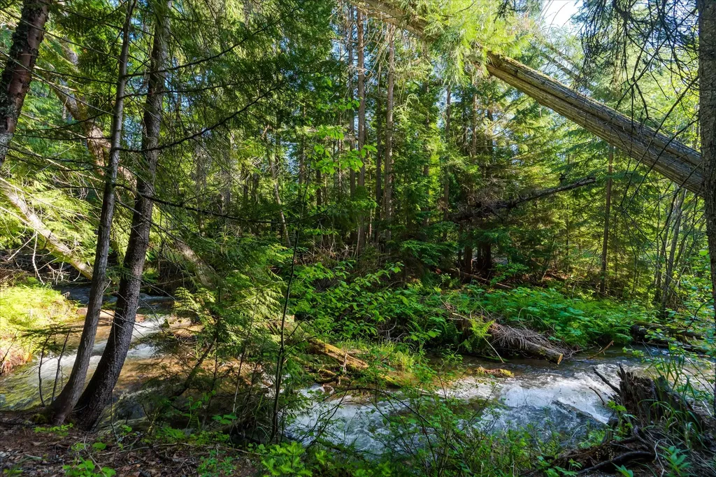 151 Twin Creek Drive Troy MT 59935