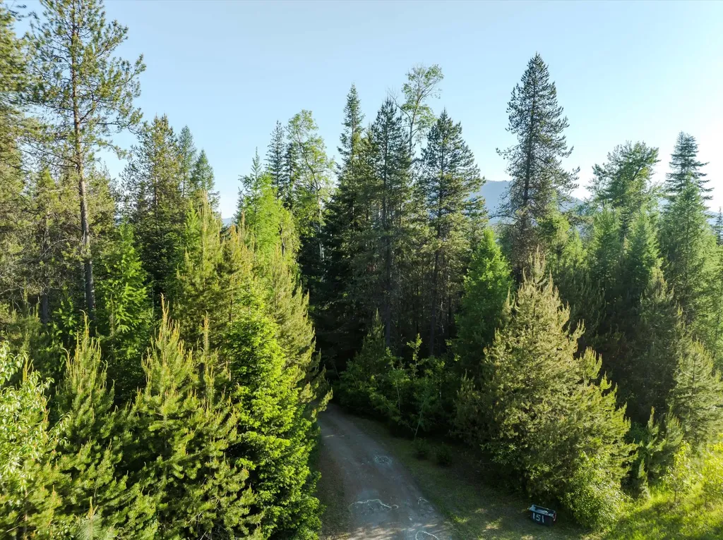 151 Twin Creek Drive Troy MT 59935