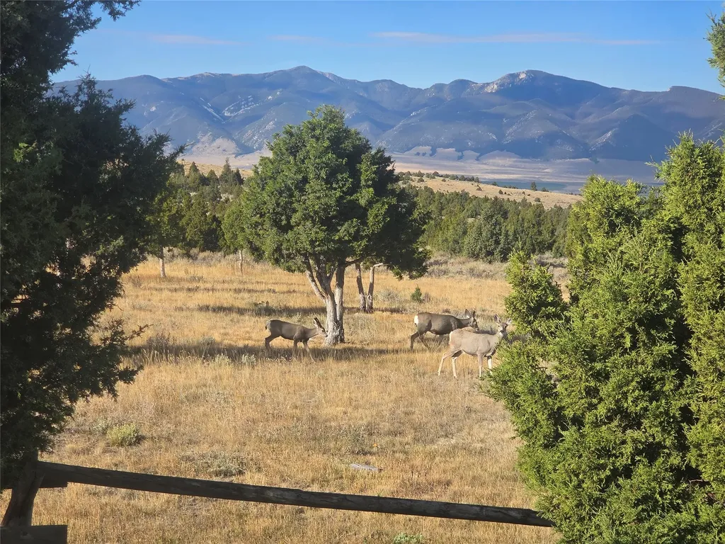 25 Sundowner Road Sheridan MT 59749