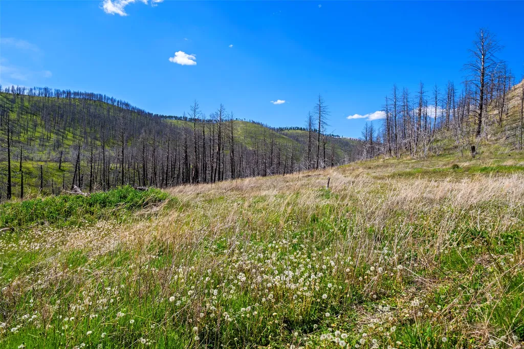 2010 Us Highway 12 E Townsend MT 59644